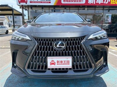 LEXUS NX - 10