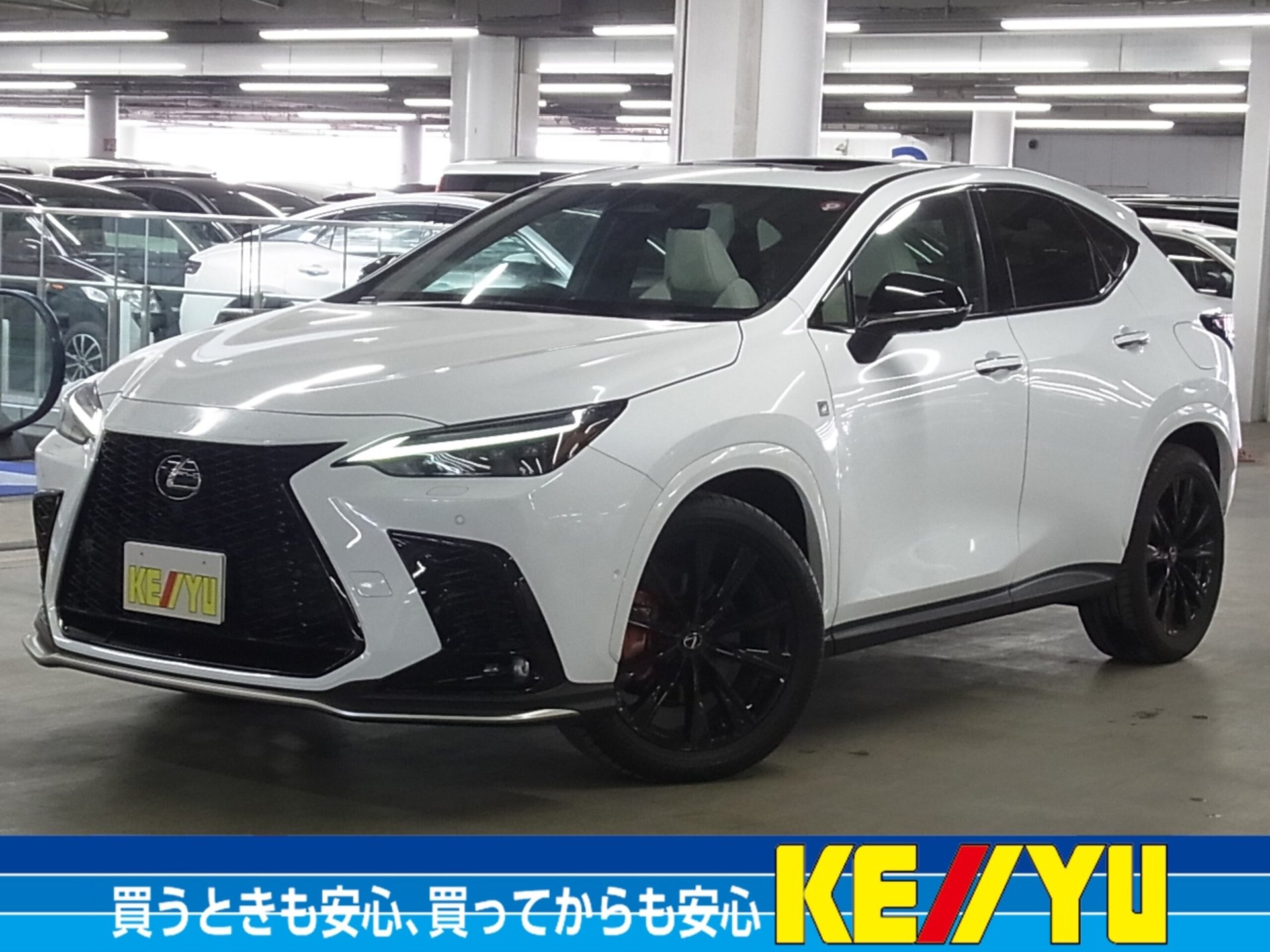 LEXUS NX - View 1
