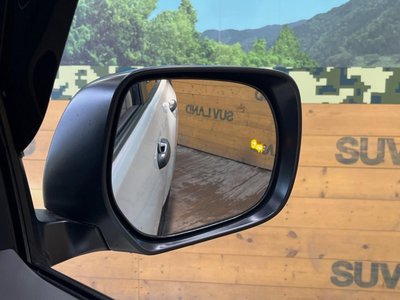 TOYOTA LAND CRUISER PRADO - 7