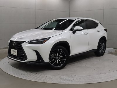LEXUS NX - 1