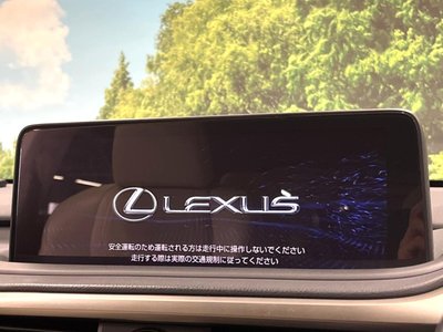 LEXUS RX - 3