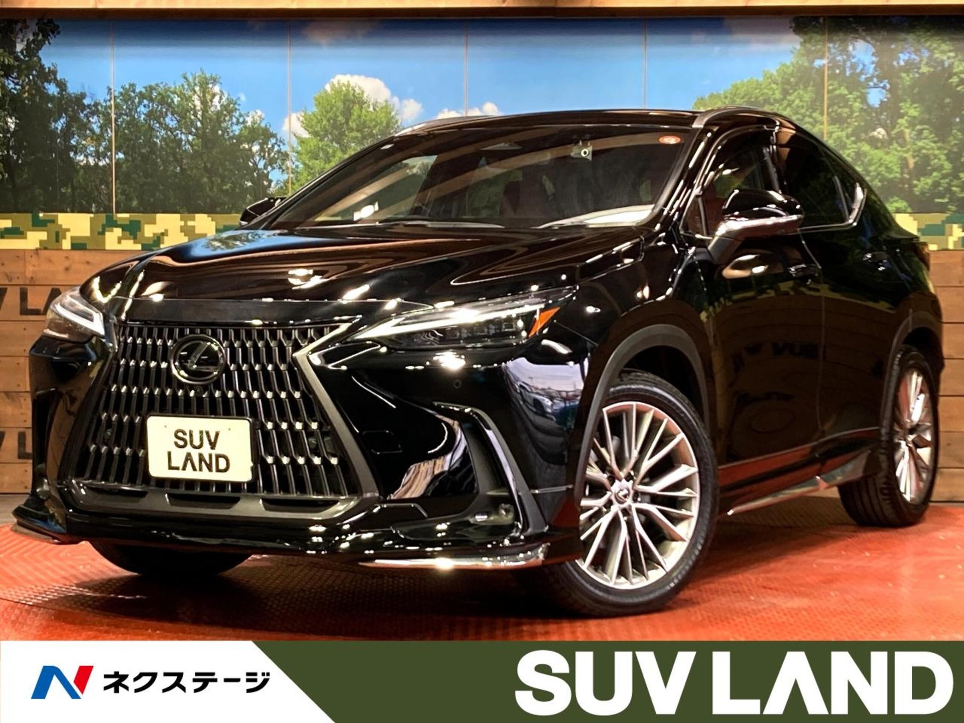 LEXUS NX - View 1