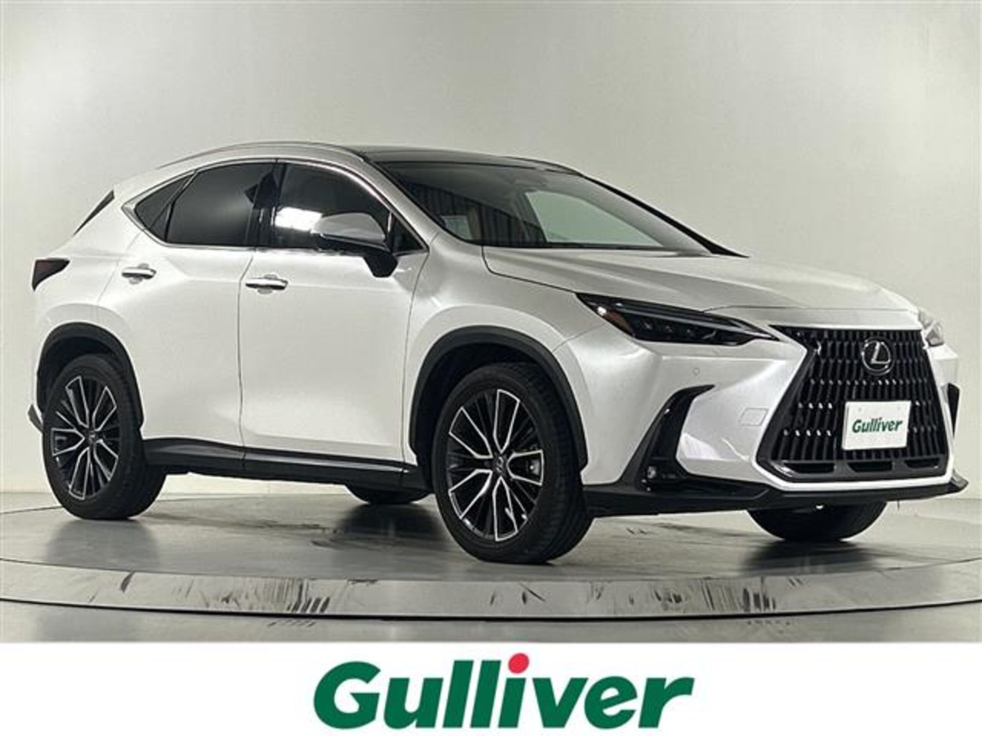 LEXUS NX - View 1