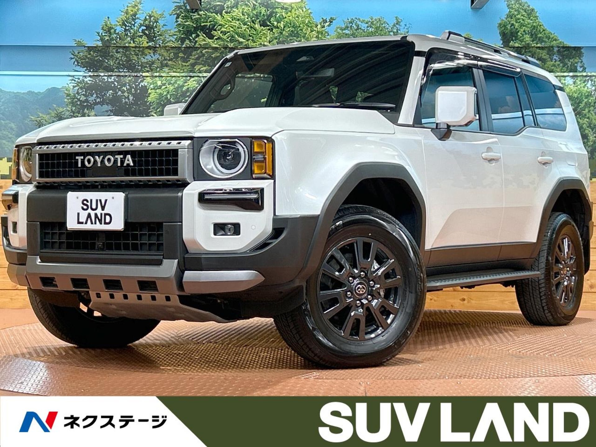 TOYOTA LAND CRUISER 250 - View 1