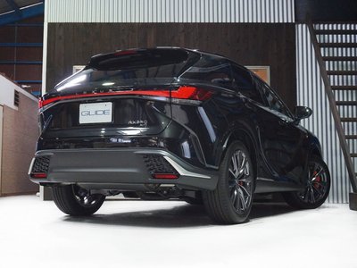 LEXUS RX - 6