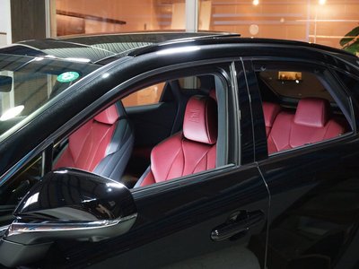 LEXUS RX - 9