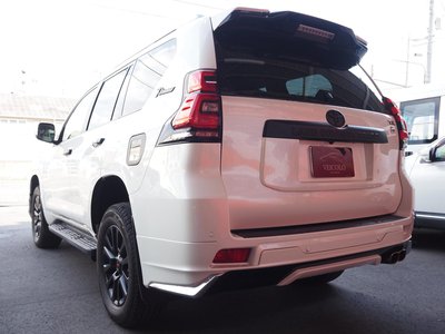 TOYOTA LAND CRUISER PRADO - 5