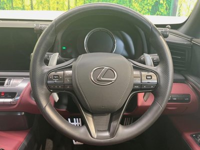 2024 Lexus LC — миниатюра 11
