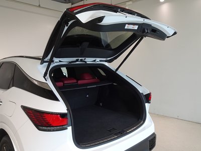 2023 Lexus RX 缩略图 21