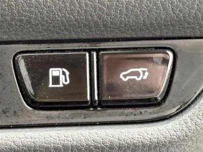 2024 Lexus NX 照片 10