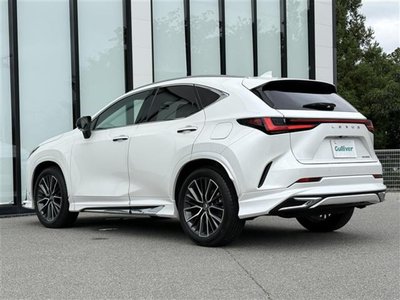 2024 Lexus NX 缩略图 38