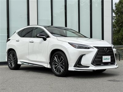 2024 Lexus NX 缩略图 35