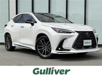 2024 Lexus NX 照片 1