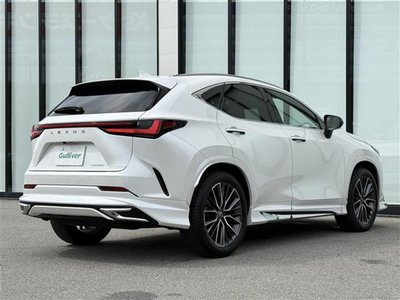2024 Lexus NX 缩略图 37