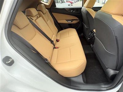2024 Lexus NX 缩略图 29
