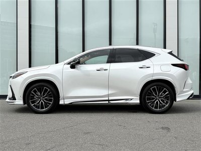 2024 Lexus NX 缩略图 42