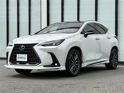 2024 Lexus NX 缩略图 34
