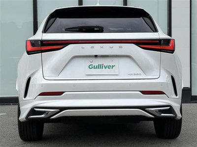 2024 Lexus NX 缩略图 36