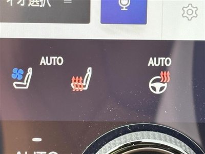 2024 Lexus NX 缩略图 16