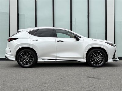 2024 Lexus NX 缩略图 43