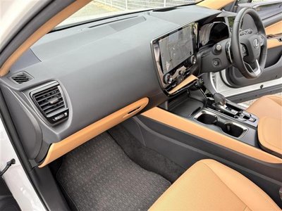 2024 Lexus NX 缩略图 30