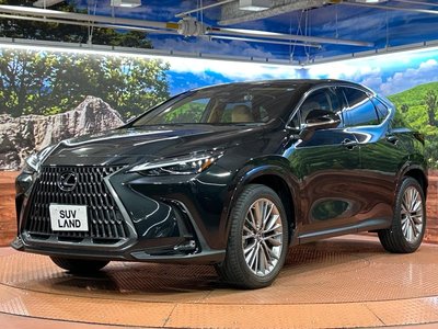 2023 Lexus NX 缩略图 67