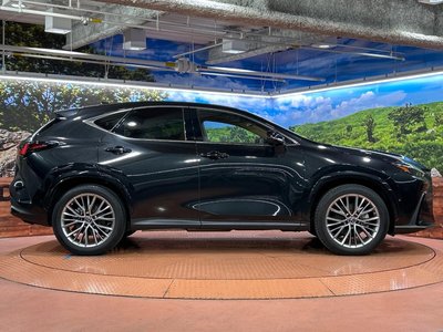 2023 Lexus NX 缩略图 66