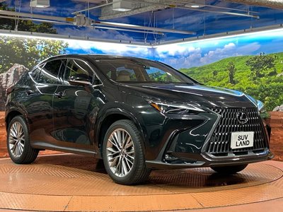 2023 Lexus NX 缩略图 16