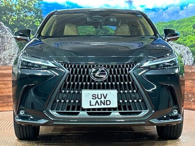 2023 Lexus NX 缩略图 14