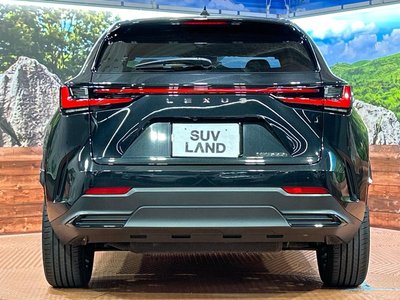 2023 Lexus NX 缩略图 15