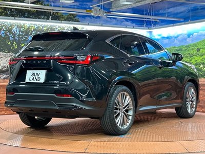 2023 Lexus NX 缩略图 17