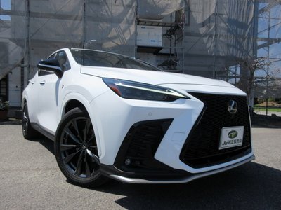 LEXUS NX - 1