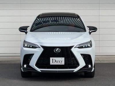 2024 Lexus NX — миниатюра 19