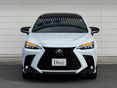2024 Lexus NX — миниатюра 20