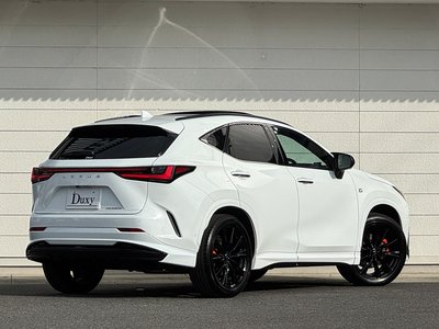 2024 Lexus NX — миниатюра 32