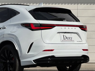 2024 Lexus NX — миниатюра 28