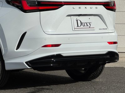 2024 Lexus NX — миниатюра 30