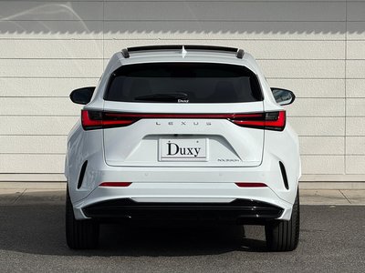 2024 Lexus NX — миниатюра 23
