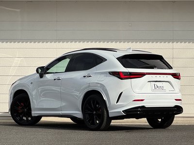 2024 Lexus NX — миниатюра 31