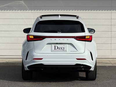 2024 Lexus NX — миниатюра 24
