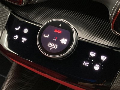 2025 Ferrari PUROSANGUE 缩略图 26