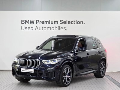 2021 BMW X5 照片 1