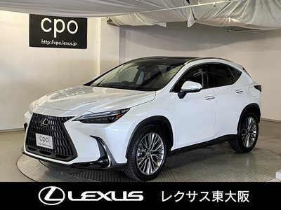 LEXUS NX - 1