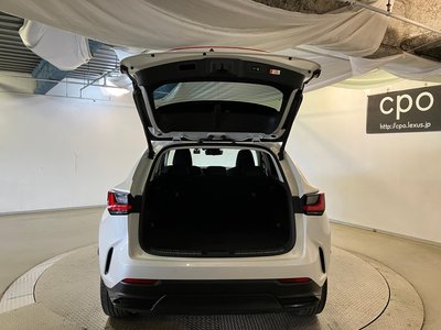 LEXUS NX - 10