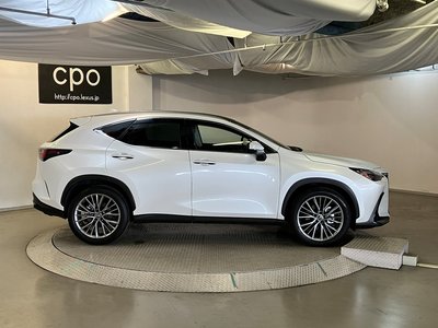 LEXUS NX - 6