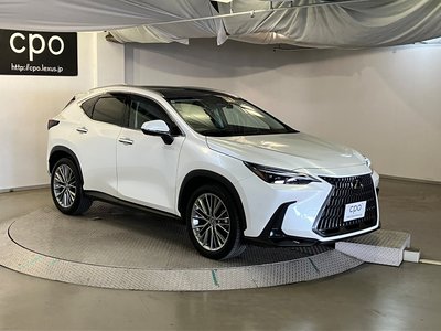LEXUS NX - 7