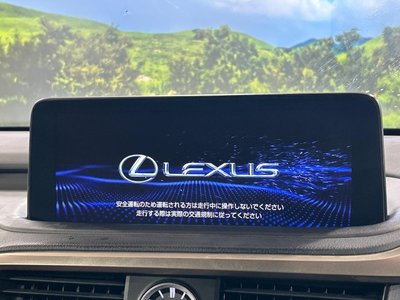 صورة 6 لـ 2020 Lexus RX