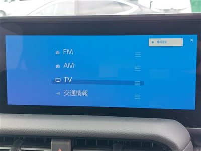 TOYOTA LAND CRUISER 250 - 6