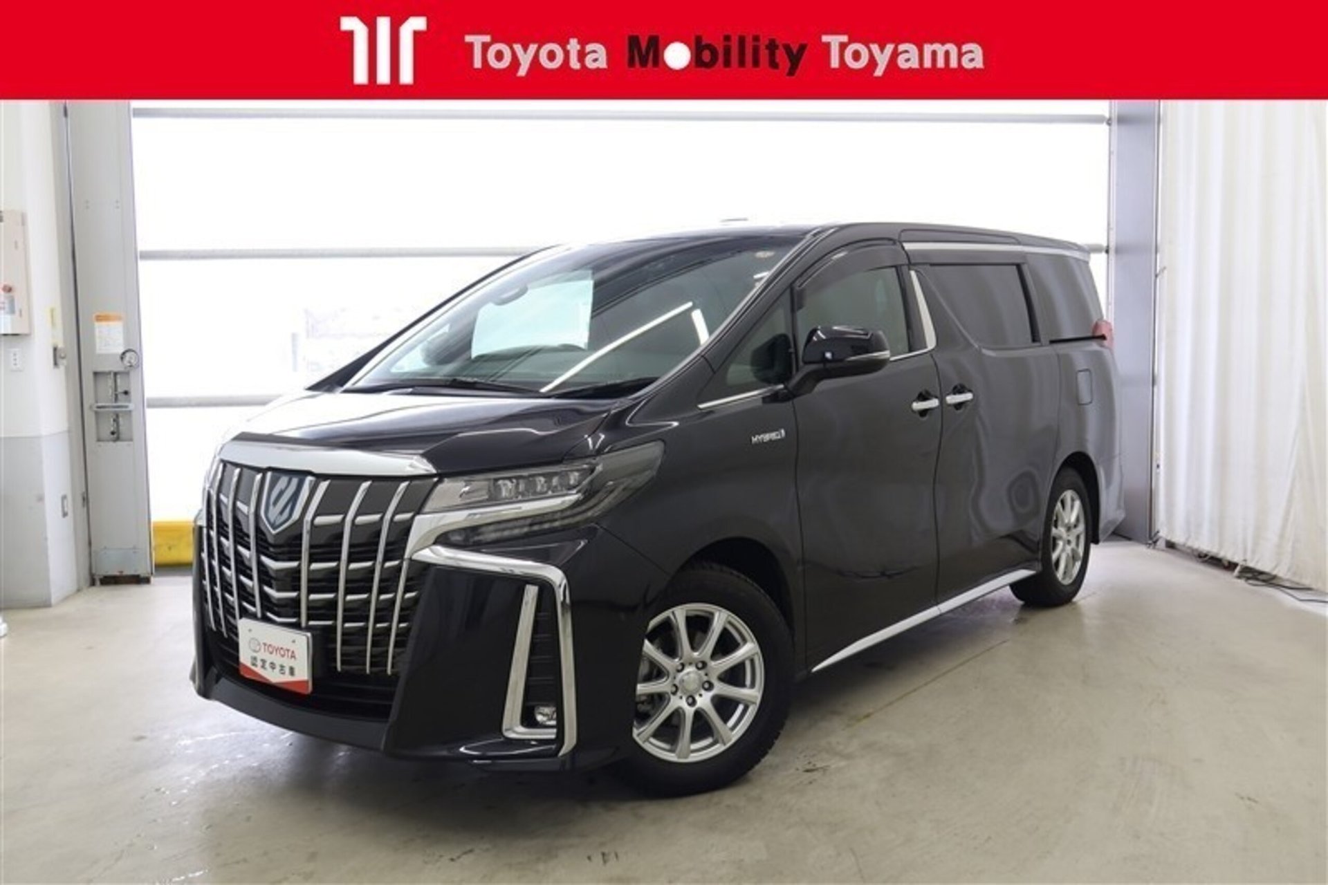 TOYOTA ALPHARD - View 1