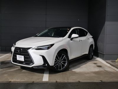 LEXUS NX - 1